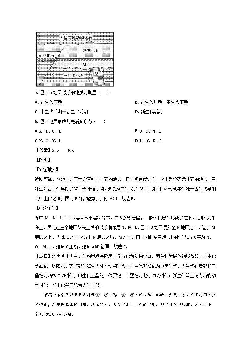 山东省枣庄市第三中学2022-2023学年高一上学期期中地理试题含解析第3页