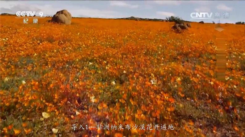 考点08+植被与土壤(第1课时)-【一轮夯基】备战2024年高考地理一轮复习优质课件(通用版)第4页