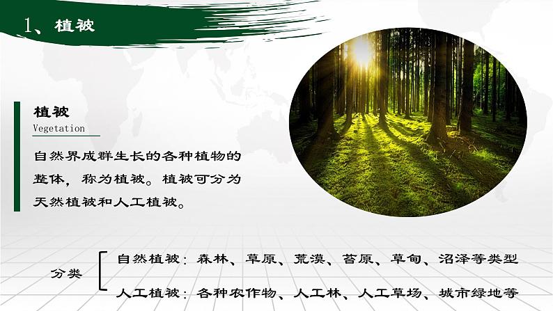 考点08+植被与土壤(第1课时)-【一轮夯基】备战2024年高考地理一轮复习优质课件(通用版)第6页