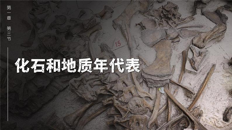 1.3地球的历史 人教版高中地理必修第一册课件PPT第5页