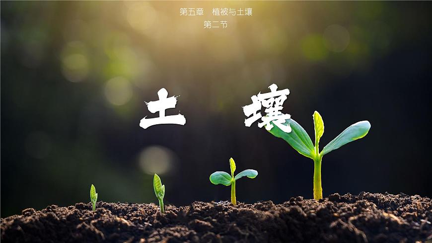 5.2 土壤  人教版高中地理必修第一冊(cè)課件PPT第1頁(yè)