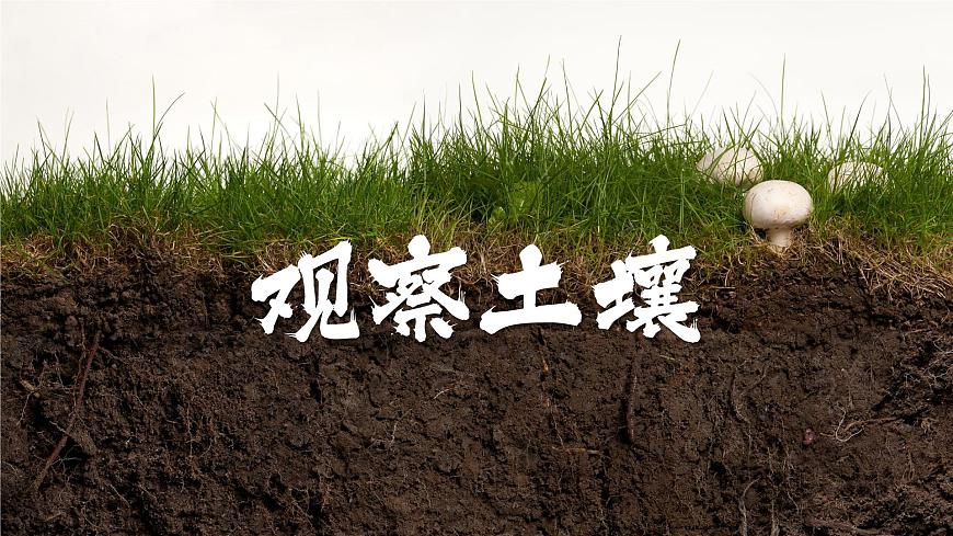 5.2 土壤  人教版高中地理必修第一冊(cè)課件PPT第2頁(yè)