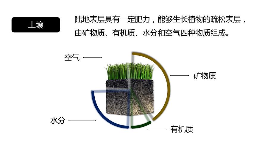 5.2 土壤  人教版高中地理必修第一冊(cè)課件PPT第3頁(yè)