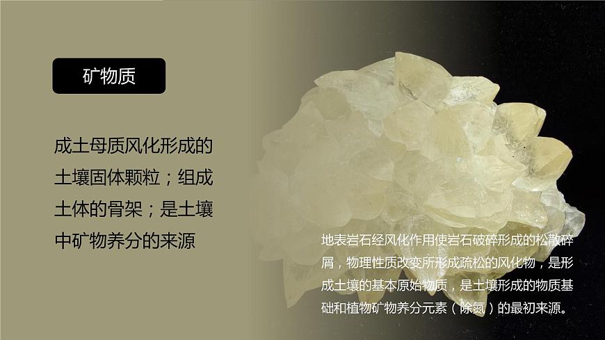 5.2 土壤  人教版高中地理必修第一冊(cè)課件PPT第4頁(yè)