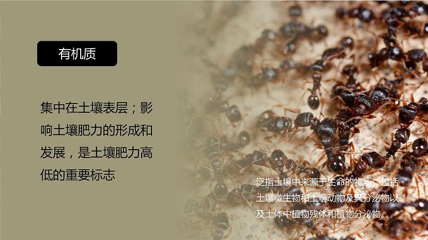 5.2 土壤  人教版高中地理必修第一冊(cè)課件PPT第5頁(yè)
