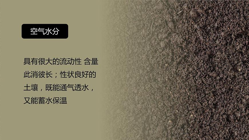 5.2 土壤  人教版高中地理必修第一冊(cè)課件PPT第6頁(yè)