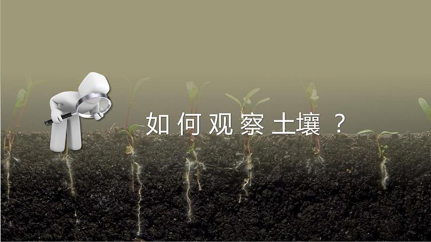 5.2 土壤  人教版高中地理必修第一冊(cè)課件PPT第8頁(yè)