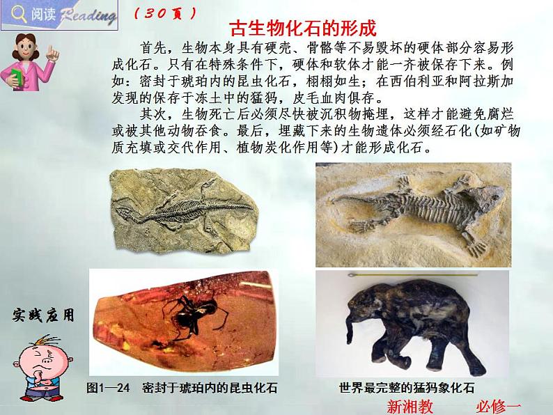 1.4 地球的演化-高一地理上册同步备课系列(湘教版必修第一册)课件PPT08