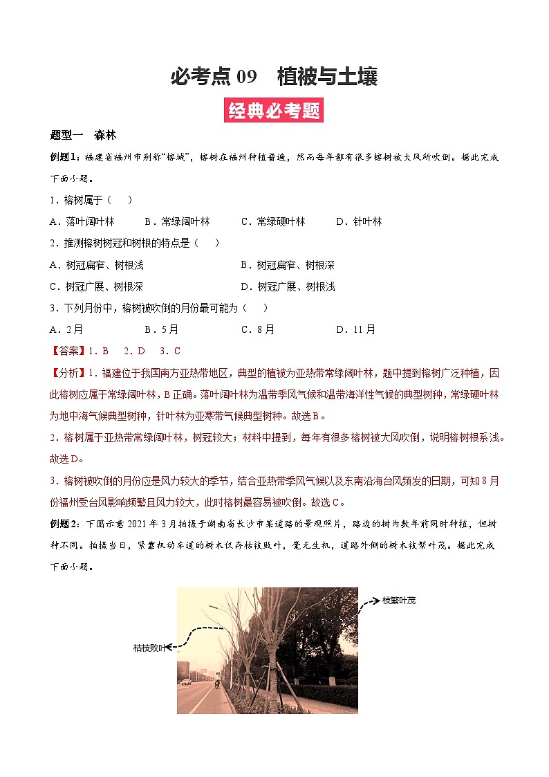 必考点09 植被与土壤(解析版)第1页