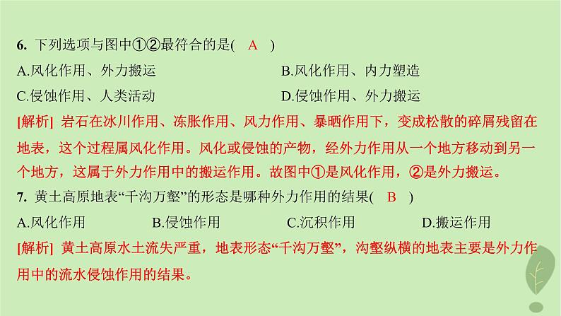 江苏专版2023_2024学年新教材高中地理第二单元地形变化的原因第二节地形变化的动力分层作业课件鲁教版选择性必修108