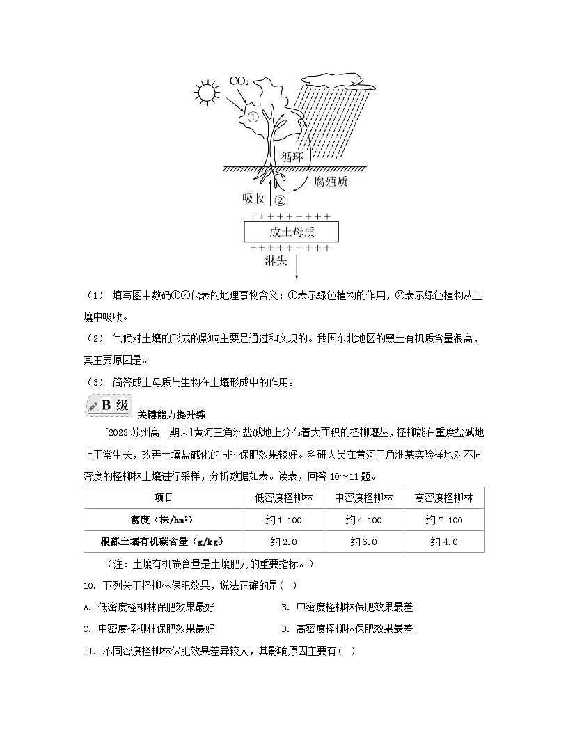 2023_2024學(xué)年新教材高中地理第五章植被與土壤第二節(jié)土壤分層作業(yè)新人教版必修第一冊第3頁