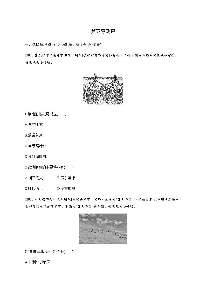 湘教版高中地理必修第一册第五章地球上的植被与土壤测评含答案01