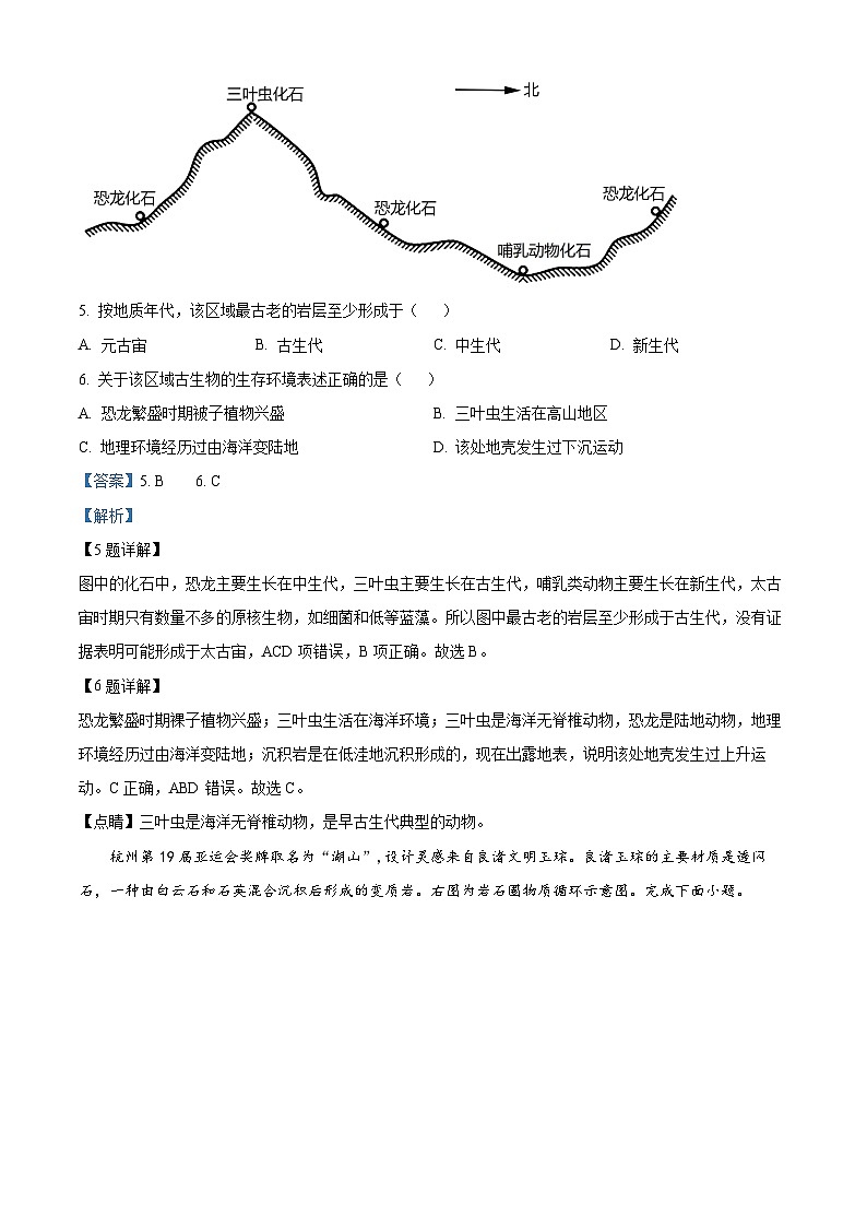 浙江省杭州市四校2023-2024学年高二地理上学期10月联考试题(Word版附解析)第3页