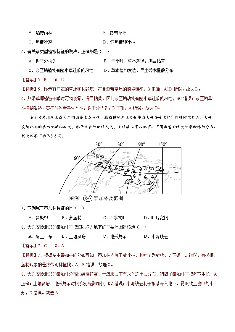 【期中模拟卷】(人教版2019)2023-2024学年高一上学期地理必修第一册 第五章 植被与土壤(综合测试卷)(解析版)第3页