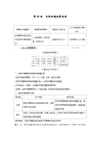 新高考地理一轮复习精品学案第20讲 自然环境的整体性(含解析)