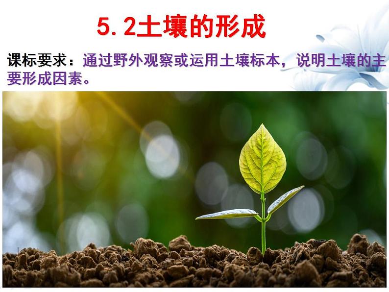 5.2《土壤》课件人教版(2019)高中地理必修第一册01