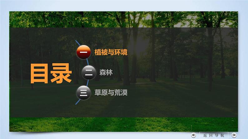 5.1+植被-2023-2024学年高一地理同步优质课件(人教版2019必修第一册)第8页