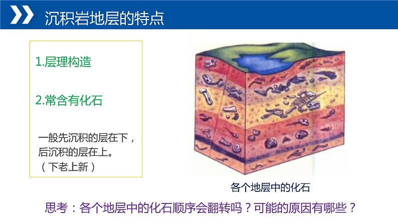 1.4+地球的演化-【新课标教学】2023-2024学年高一地理上学期同步教学课件(湘教版2019必修第一册)第7页