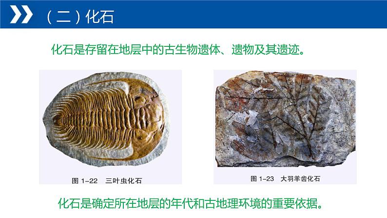 1.4+地球的演化-【新课标教学】2023-2024学年高一地理上学期同步教学课件(湘教版2019必修第一册)第8页