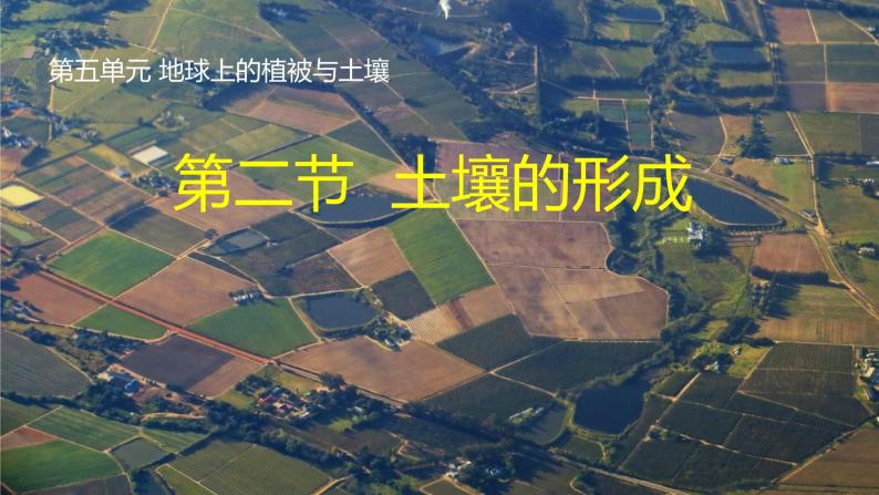 5.2+土壤的形成-【新课标教学】2023-2024学年高一地理上学期同步教学课件（湘教版2019必修第一册）01