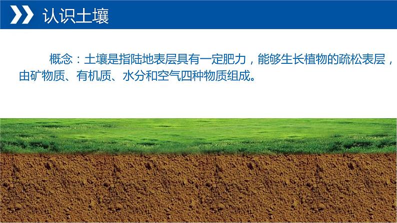5.2+土壤的形成-【新课标教学】2023-2024学年高一地理上学期同步教学课件(湘教版2019必修第一册)第6页