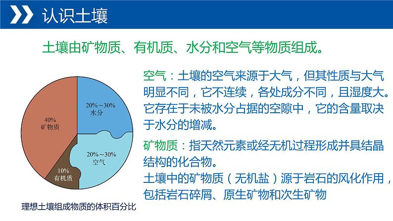 5.2+土壤的形成-【新课标教学】2023-2024学年高一地理上学期同步教学课件(湘教版2019必修第一册)第7页