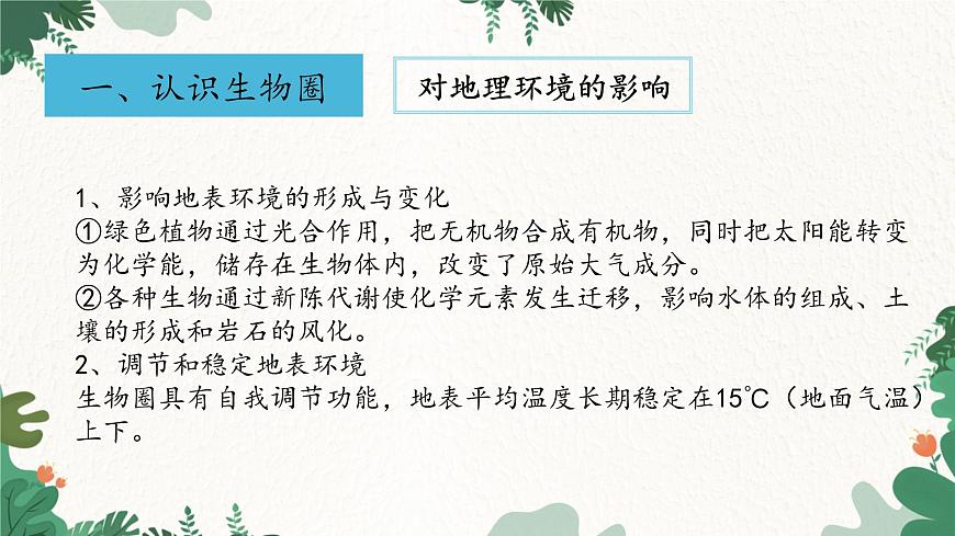 高中地理魯教版（2019）必修一 2.3生物圈與植被 課件第5頁