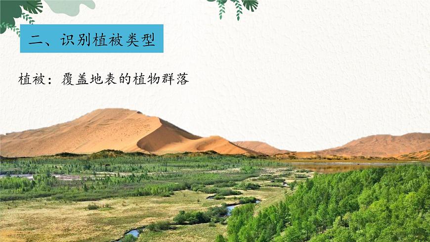 高中地理魯教版（2019）必修一 2.3生物圈與植被 課件第6頁
