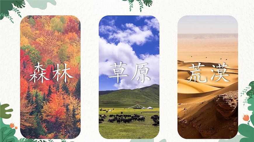 高中地理魯教版（2019）必修一 2.3生物圈與植被 課件第7頁