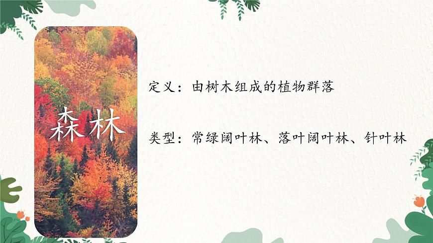 高中地理魯教版（2019）必修一 2.3生物圈與植被 課件第8頁