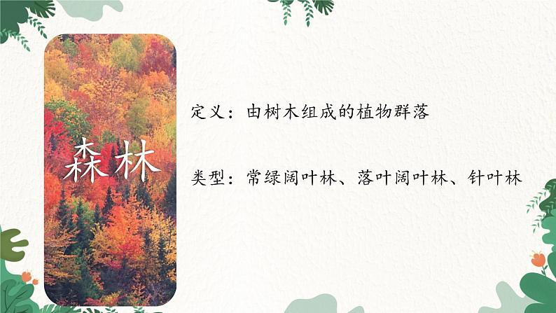 高中地理鲁教版(2019)必修一 2.3生物圈与植被 课件08