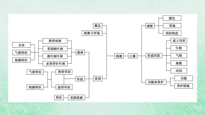 新教材适用2023_2024学年高中地理第5章植被与土壤本章整合提升课件新人教版必修第一册04