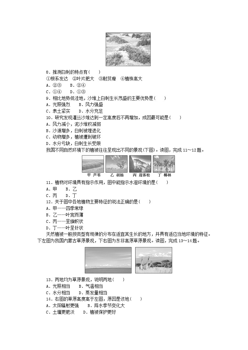 2024版新教材高中地理第五章地球上的植被与土壤第一节主要植被与自然环境课时作业湘教版必修第一册第2页