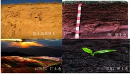 3.4分析土壤形成的原因2023-2024学年高中地理鲁教版（2019）必修一课件PPT