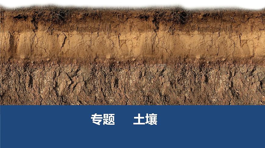 2024屆高考地理二輪專題復(fù)習(xí) 課件微專題 土壤專題第1頁(yè)