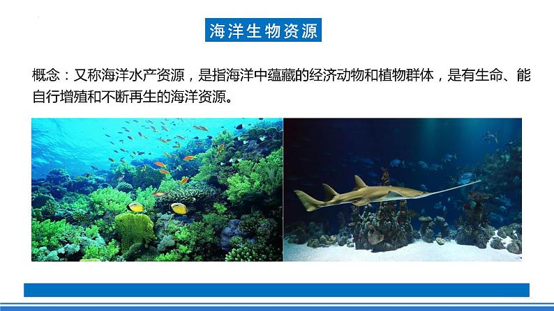 湘教版高中地理选修二4.3 《海洋与人类》课件+分层练习(原卷+解析卷)08
