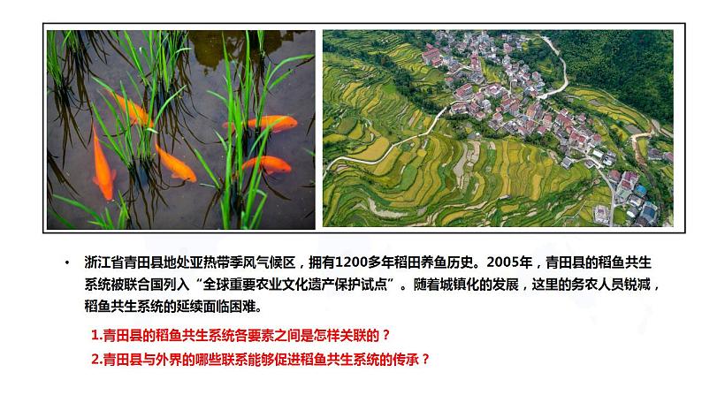 1.2区域整体性和关联性(教学课件)-2023-2024学年高二地理精美课件分层练习(人教版2019选择性必修2)第3页