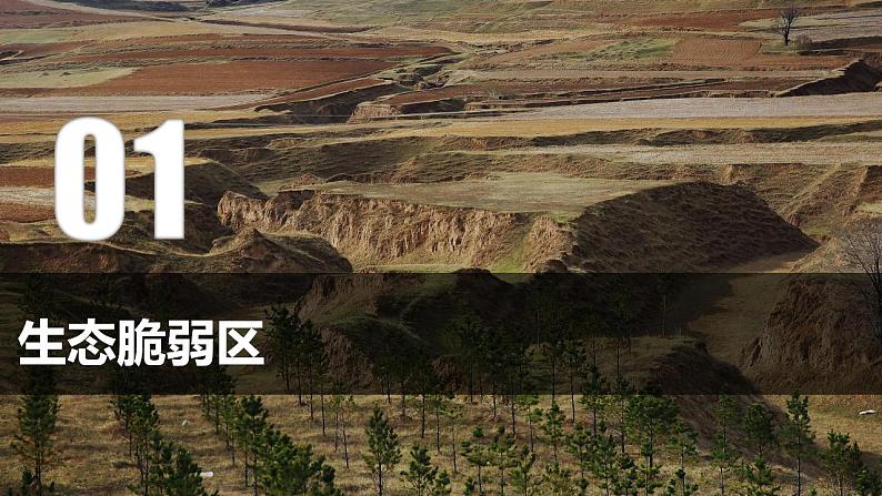 2.2生态脆弱区的综合治理(教学课件)-2023-2024学年高二地理精美课件分层练习(人教版2019选择性必修2)第4页