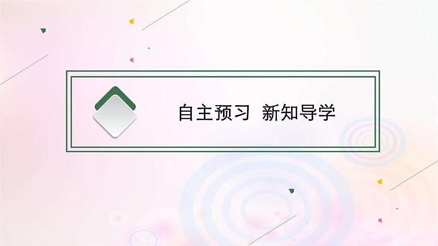 新教材適用2023_2024學(xué)年高中地理第4章保障國(guó)家安全的資源環(huán)境戰(zhàn)略與行動(dòng)第2節(jié)國(guó)家戰(zhàn)略與政策課件新人教版選擇性必修3第4頁(yè)
