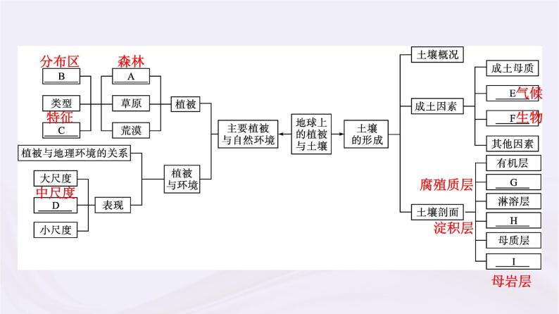 新教材适用2023_2024学年高中地理第5章地球上的植被与土壤本章整合课件湘教版必修第一册04