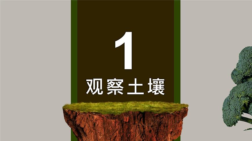 5.2 《土壤 》教學(xué)課件第3頁