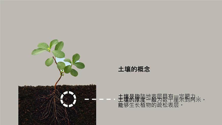 5.2 《土壤 》教學(xué)課件第4頁