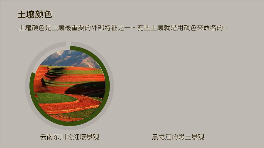 5.2 《土壤 》教學(xué)課件第7頁