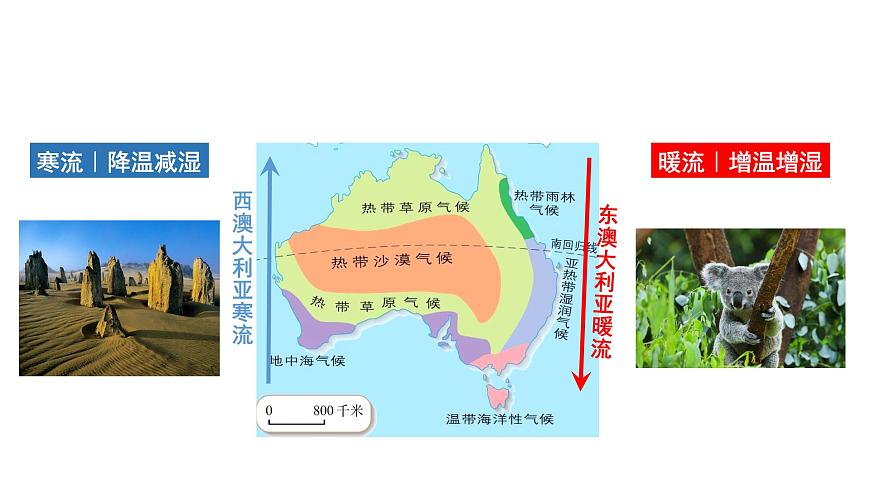 4.2 課時2 洋流及其影響   課件（含視頻）高二地理魯教版（2019）選擇性必修第一冊第5頁