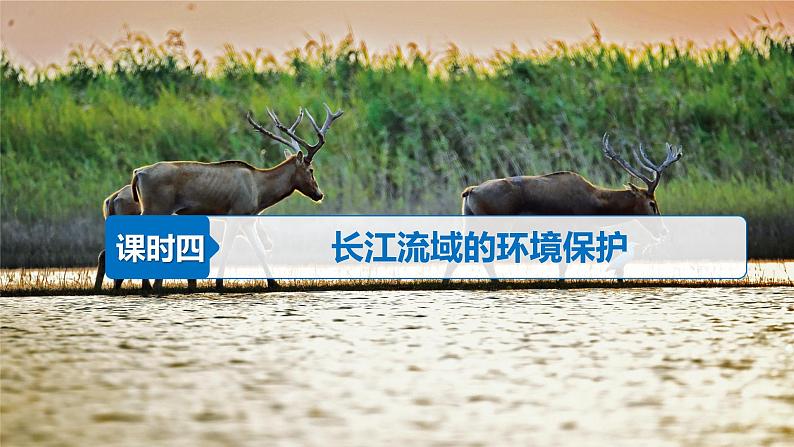 3.3 长江流域协作开发与环境保护(含4、5课时)第1页