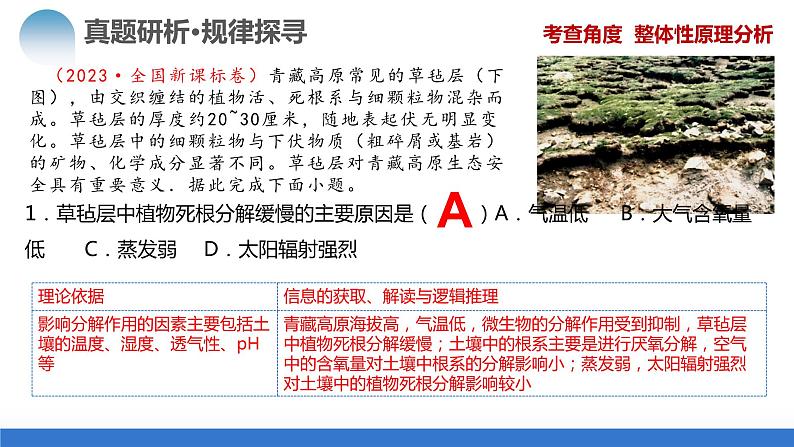 专题06 自然地理环境的整体性与差异性(含生物与环境、冻土)(课件)-2024年高考地理二轮复习(新教材新高考)第8页
