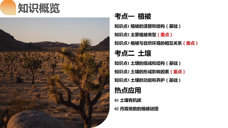 第16讲 植被和土壤(课件)-2024年高考地理一轮复习(新教材新高考)08