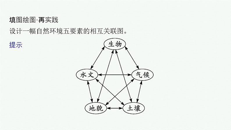 第2节 自然环境的整体性、分析土壤形成的原因第8页