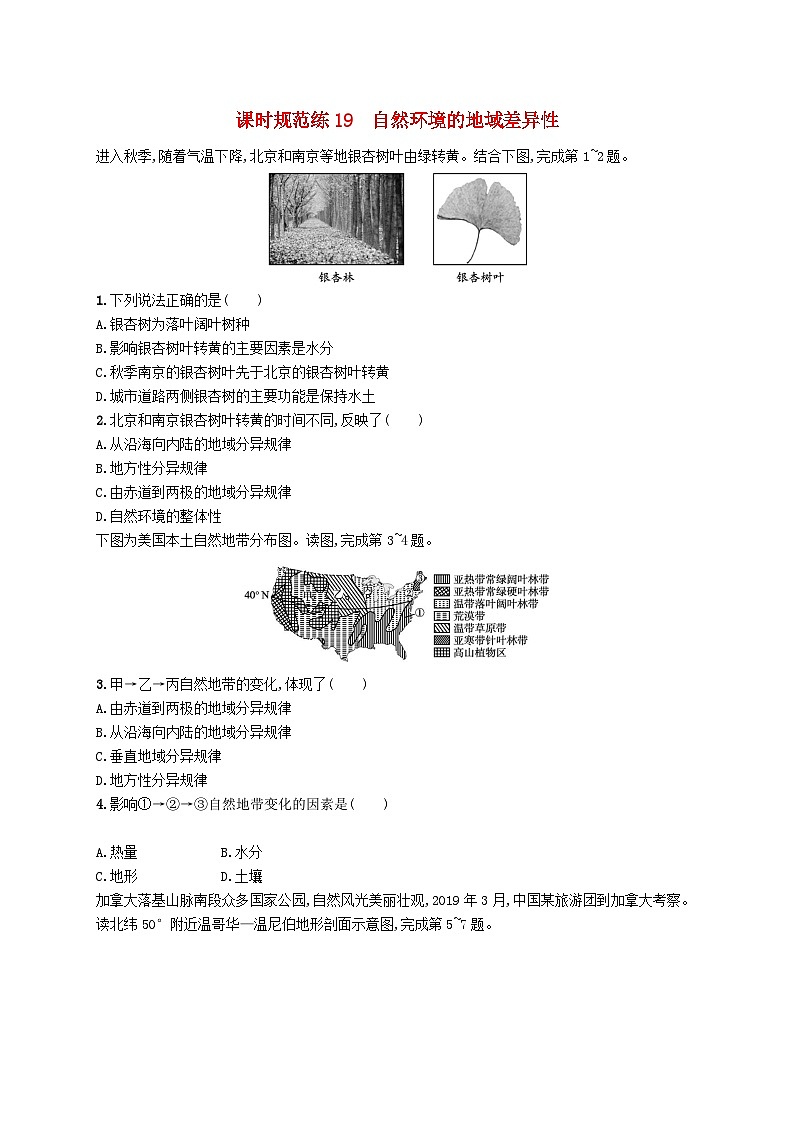 2025届高考地理一轮复习专项练习课时规范练19自然环境的地域差异性01