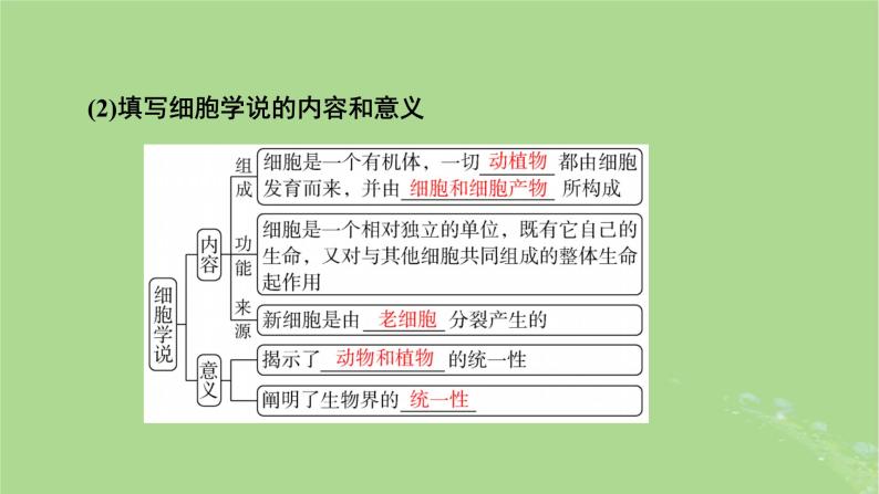 2025版高考生物一轮总复习必修1第1单元走近细胞和组成细胞的分子第1讲走近细胞课件05